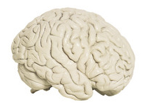How Memory Works